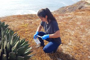 Young woman kneeling down gathering scientific samples near the ocean